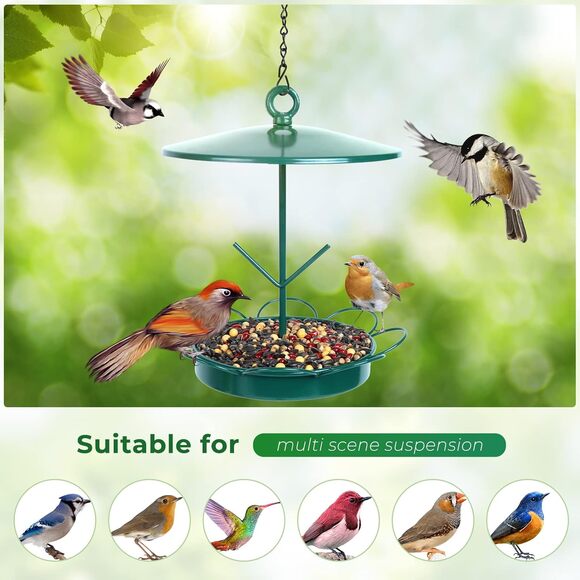Hanging Metal Bird Feeder Outdoor Wild Bird Food Tray with Fruit Holder Green - Picture 6 of 7